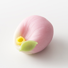 上生菓子 上生菓子