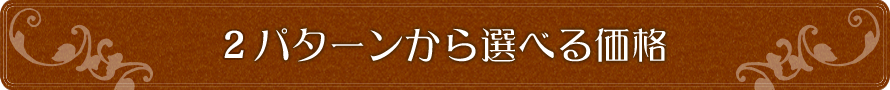 ２パターンから選べる価格